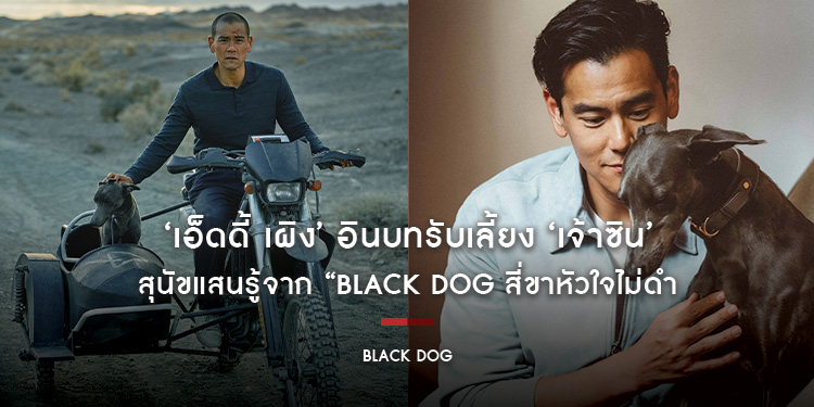 ‘เอ็ดดี้ เผิง’ อินบทรับเลี้ยง ‘เจ้าซิน’ สุนัขแสนรู้จาก “Black Dog สี่ขาหัวใจไม่ดำ”
